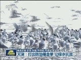 天津：打出防治组合拳 让绿水长流