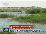 【在习近平新时代中国特色社会主义思想指引下——新时代 新作为 新篇章】全球样本 从沙漠到绿洲的沧桑巨变