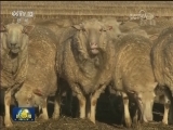 国际联播快讯