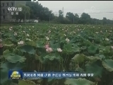 浙江杭州：城乡统筹 绘就“三江两岸”富美乡村