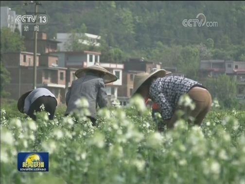 【为了民族复兴·英雄烈士谱】黄埔奇才——蒋先云