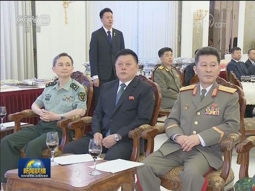 王岐山出席朝鲜国庆70周年招待会