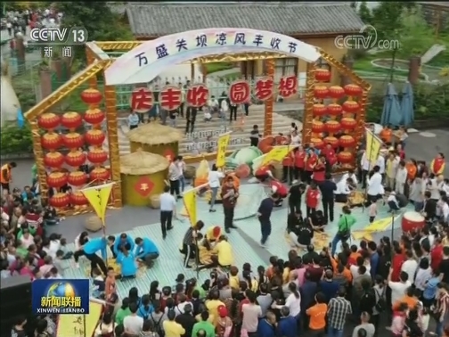 让农民丰收的喜悦点亮未来——习近平总书记重要讲话在各地引发热烈反响