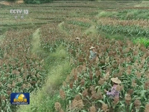 分享节日欢乐 礼赞丰收中国
