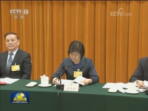 十三届全国人大常委会第六次会议举行联组会议 审议“两高”专项工作报告并开展专题询问