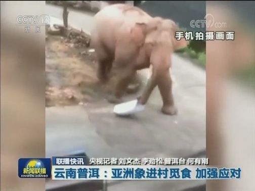 国内联播快讯
