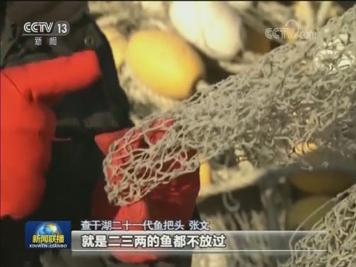 【坚持高质量发展笃定前行】生态文明建设推动共建美丽中国