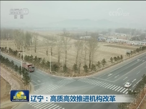 辽宁：高质高效推进机构改革