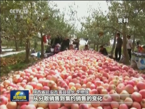 陕西：多措施推进苹果产业化升级