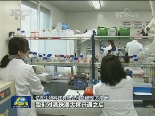 一桥连三地 大湾区深度融合