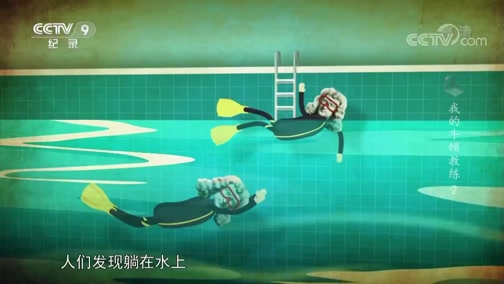 磁力猪怎么网盘播放=最好磁力猪cilizhu