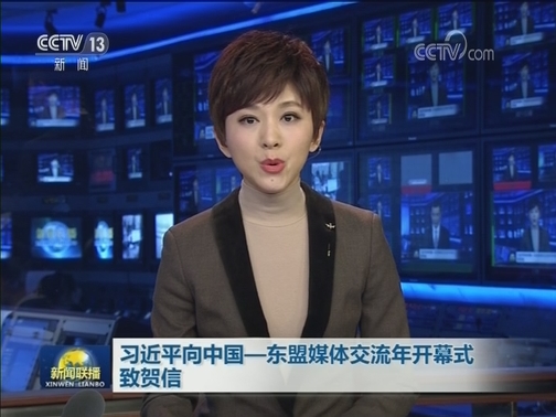 习近平向中国—东盟媒体交流年开幕式致贺信