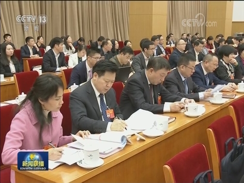 王岐山参加湖南代表团审议