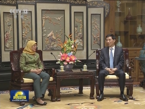王沪宁会见新加坡总统