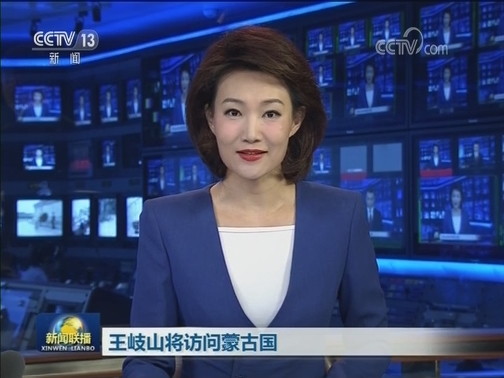王岐山将访问蒙古国