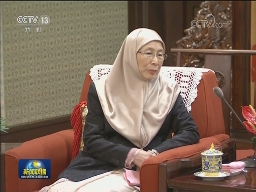 王岐山会见马来西亚副总理