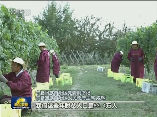 宁夏：塞上江南今胜昔
