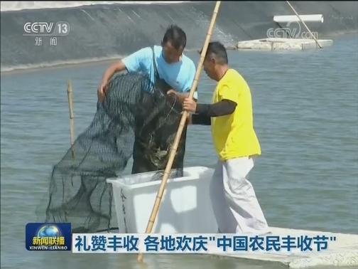 礼赞丰收 各地欢庆“中国农民丰收节”