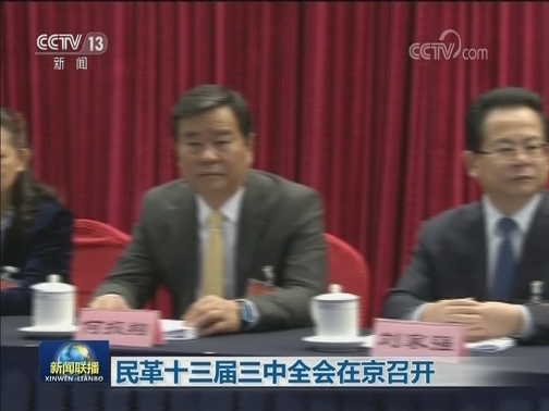 民革十三届三中全会在京召开