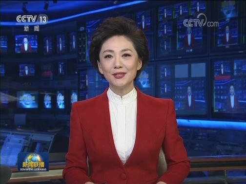 欢迎中外记者采访十三届全国人大三次会议和全国政协十三届三次会议