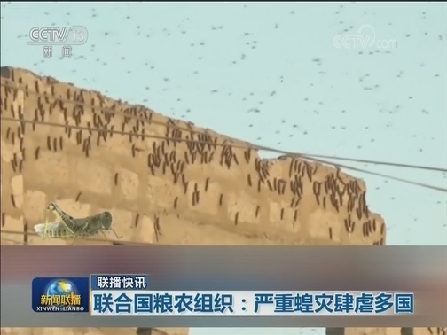 国际联播快讯