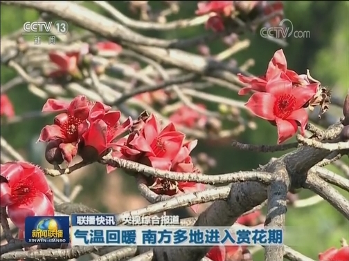国内联播快讯