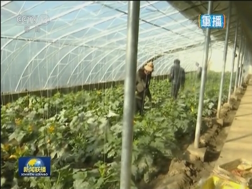 压实“菜篮子”首责制 全力保障市场供应