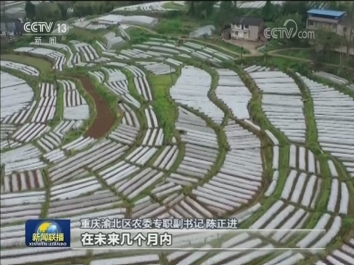 春耕备耕正当时