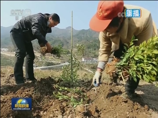 巾帼不让须眉 扶贫路上展风采