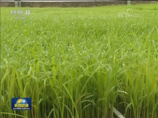 抢农时 上下一心保春耕