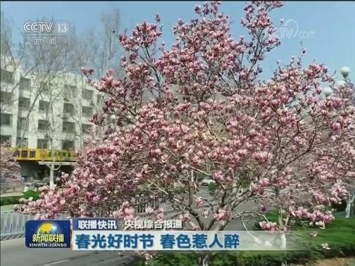 国内联播快讯
