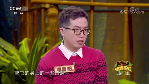 正大综艺动物来啦动物我知道20200412