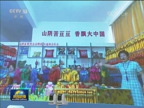 全国政协召开网络议政远程协商会