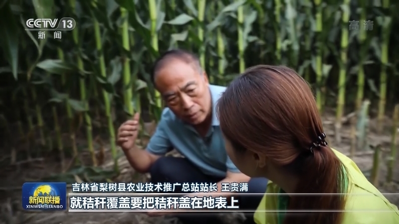 【走向我们的小康生活】农业现代化 赋予黑土地新生命