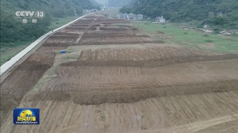 国内联播快讯