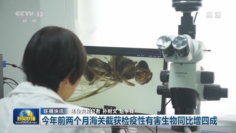 国内联播快讯