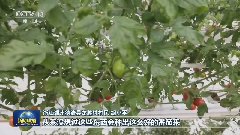 【在习近平新时代中国特色社会主义思想指引下——贯彻新发展理念 推动高质量发展】浙江：用数字化改革 全面推进乡村振兴