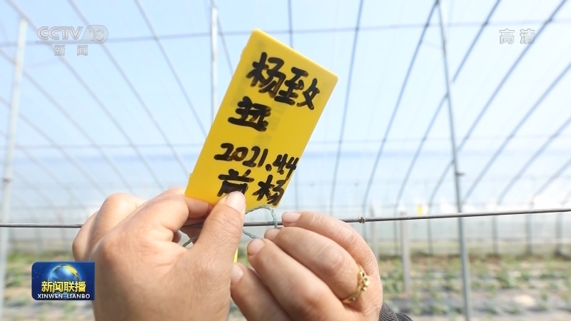 【奋斗百年路 启航新征程·同心奔小康】多彩休闲游 致富小康路