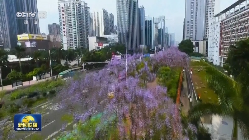 牢记初心使命 继续为实现人民对美好生活的向往不懈努力——习近平总书记在庆祝中国共产党成立100周年大会上的重要讲话引发热烈反响