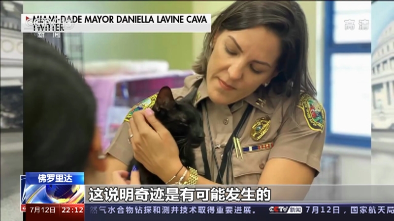 国际时讯美国佛罗里达州住宅楼坍塌事故两周仅救一只猫政府宣扬奇迹引