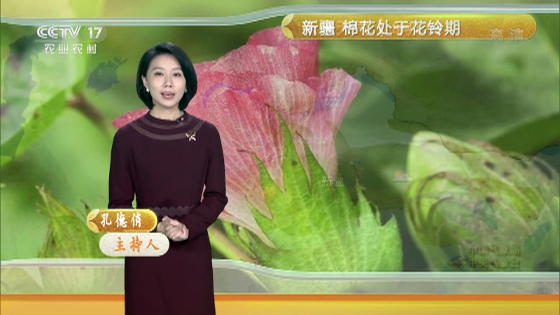 农业气象202108151227