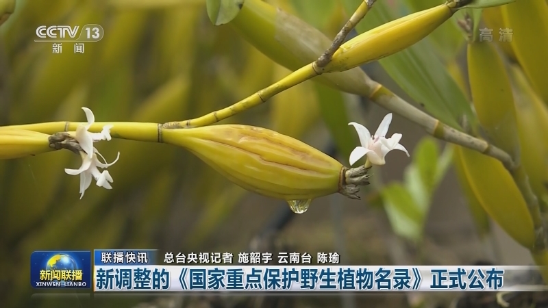 国内联播快讯
