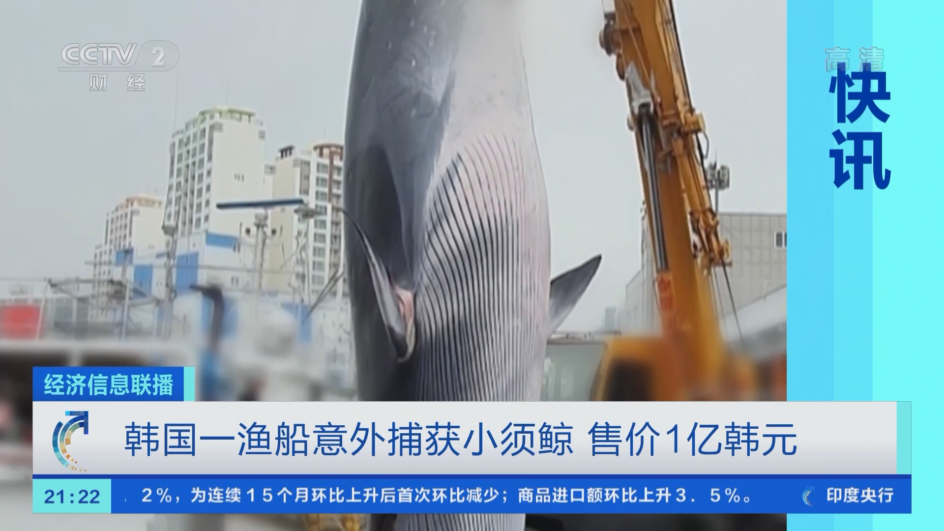 经济信息联播]韩国一渔船意外捕获小须鲸售价1亿韩元