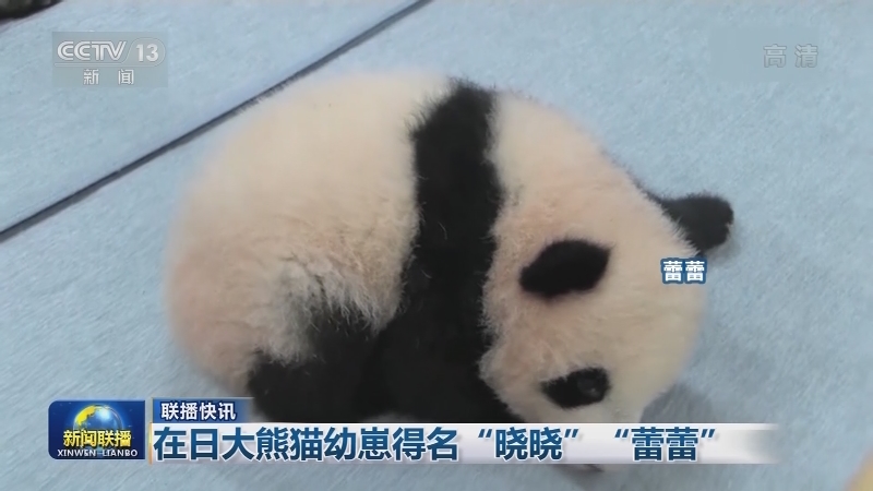 国际联播快讯