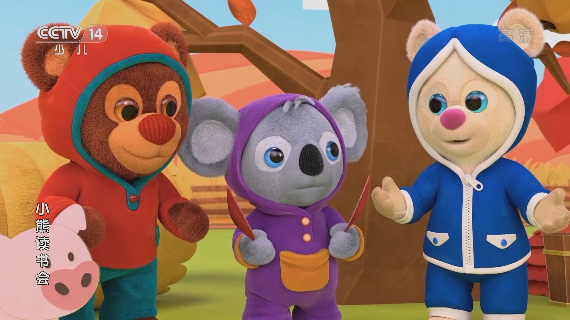 动画大放映202111130800