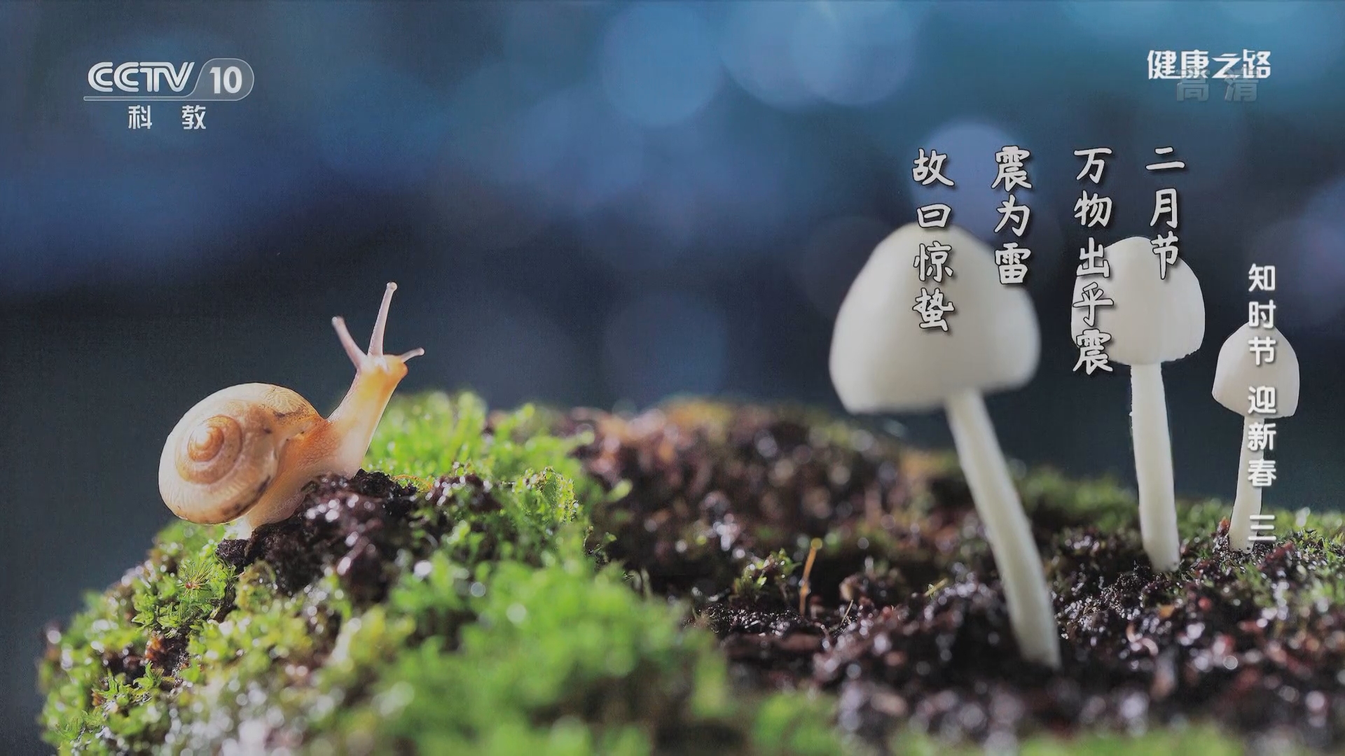 健康之路运动不当也惹祸二肘关节的运动损伤