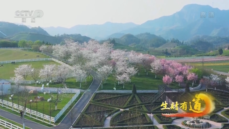 生财有道 花田美地里百花盛开吸引来了众多游客