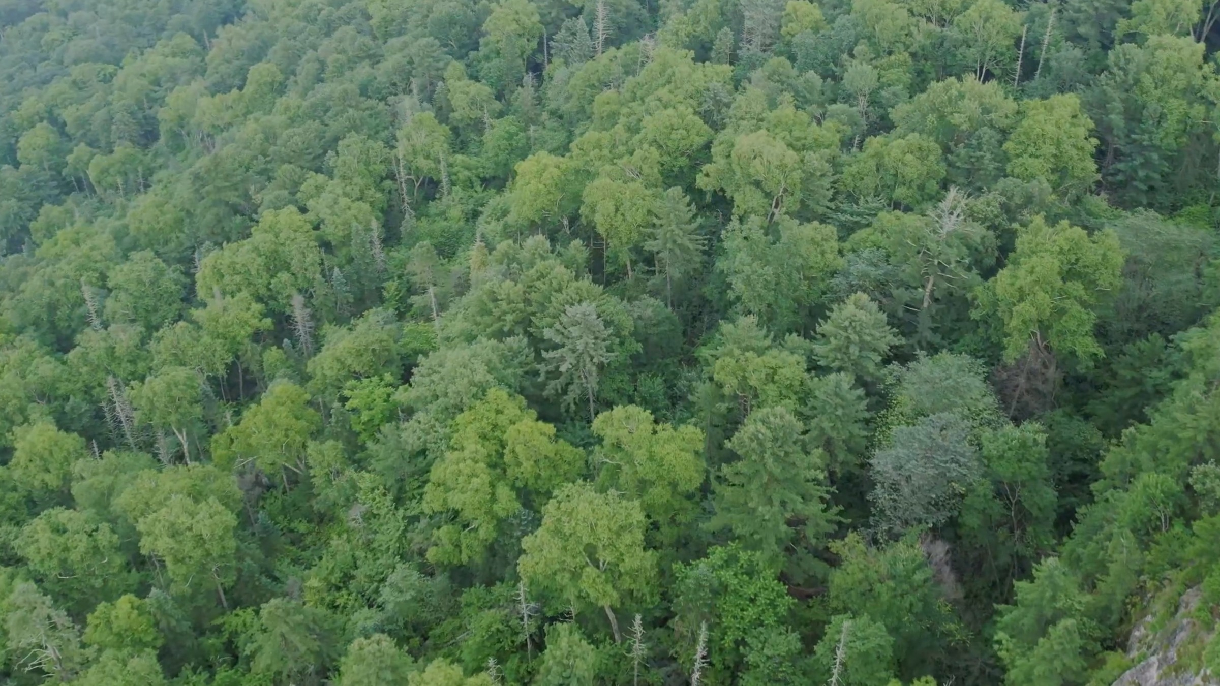 《远方的家》 行走山水间 山林深处的秘境之旅