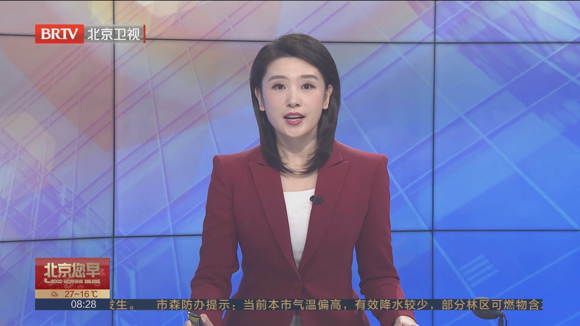 [北京您早]江苏 四男非法猎售1263只画眉鸟获刑