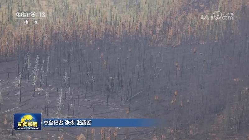 加拿大林火过火面积达8万平方公里 多地空气污染严重